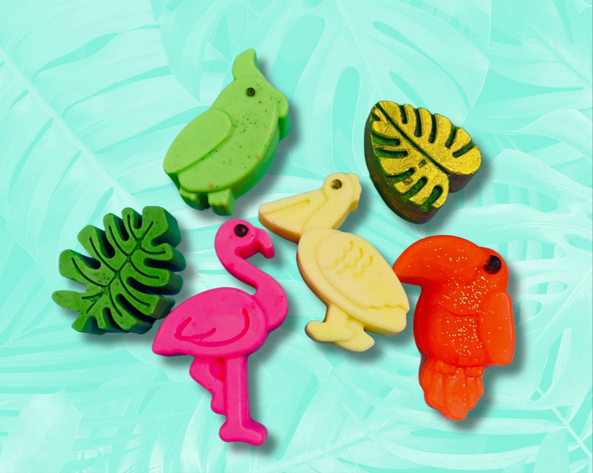 Tropical Birds Soap Set - Lush Bath and Body Shop