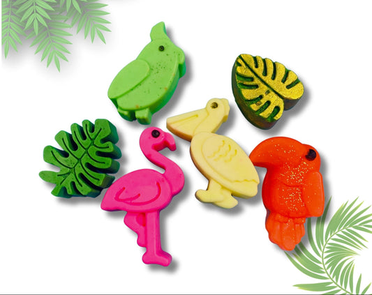 Tropical Birds Soap Set - Lush Bath and Body Shop